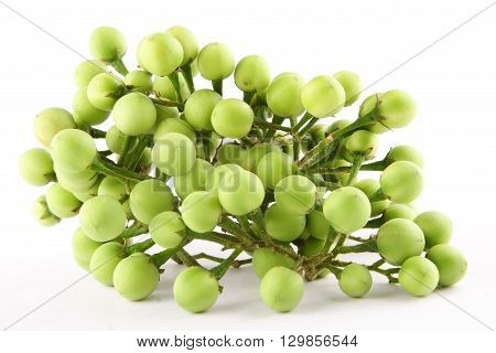 Devil's fig or Prickly nightshade,on white background.selective focus photograph.white background