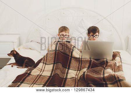 Two children, boys in parents' bed at morning with laptop and tablet. Brothers play computer games. Siblings and gadgets. Boys and pet, chiwawa or chihuahua dog. Children in glasses, poor eyesight.