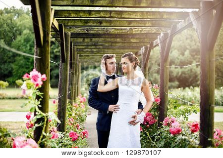 Newlyweds In Park Rosarium Next To Beautiful Pink Roses