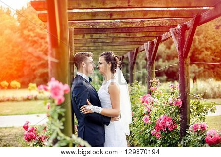 Newlyweds In Park Rosarium Next To Beautiful Pink Roses