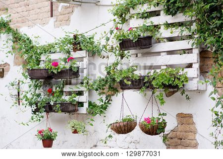 Pallet Ideas For Gardening