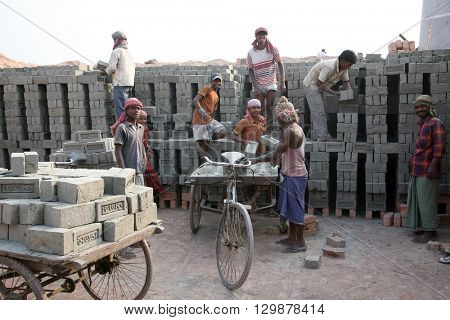 SARBERIA,INDIA, JANUARY 16: Brick field workers carrying complete finish brick from the kiln, and loaded it onto a bicycle rickshaw on January 16, 2009 in Sarberia, West Bengal, India.