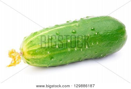 Cucumber isolated on the white background with clipping path