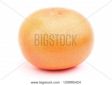 Grapefruit isolated on the white background with clipping path