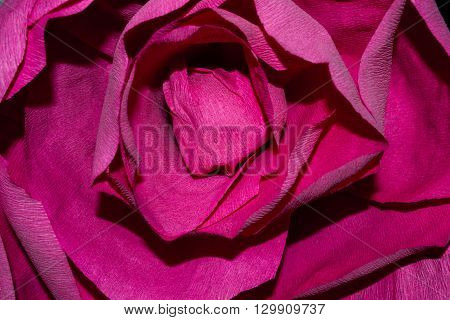 Paper Pink Rose Close Up