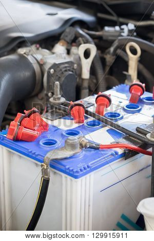 car battery maintenace with distilled water, garage