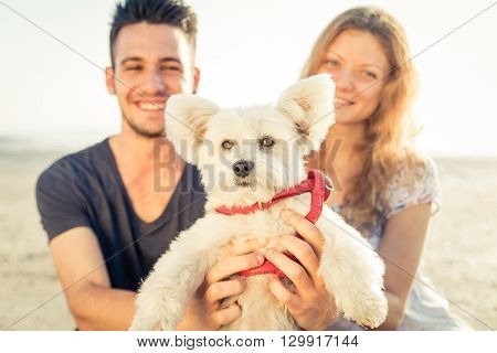 Smiling couple with dog portrait on the beach. concept about pets and dogs