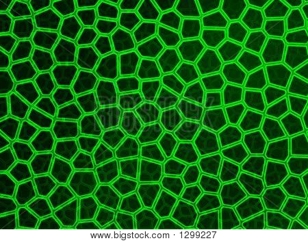 Green Neons Web