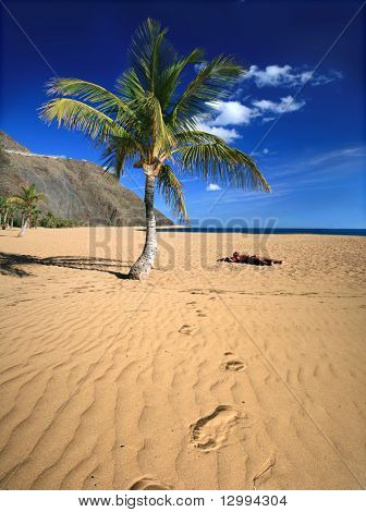 Spiaggia tropicale