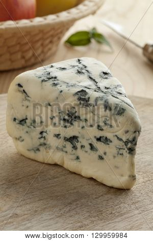 Traditional French goats cheese with edible mold