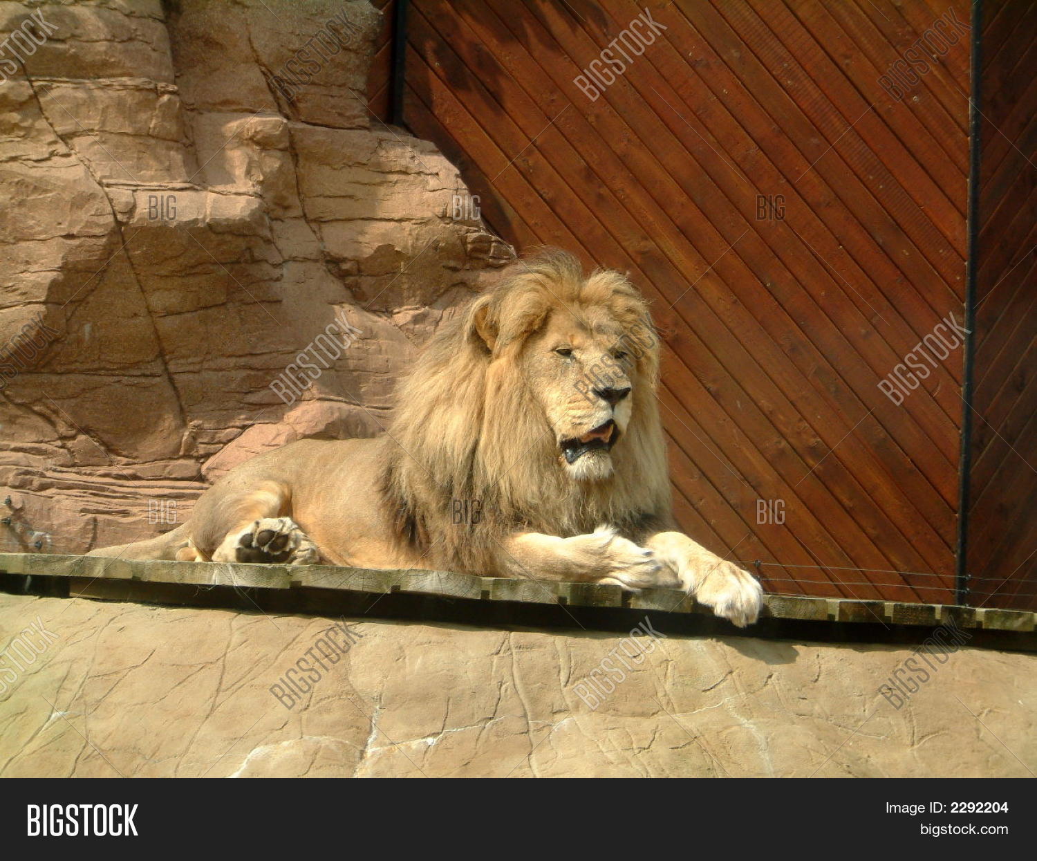 Image Preview
