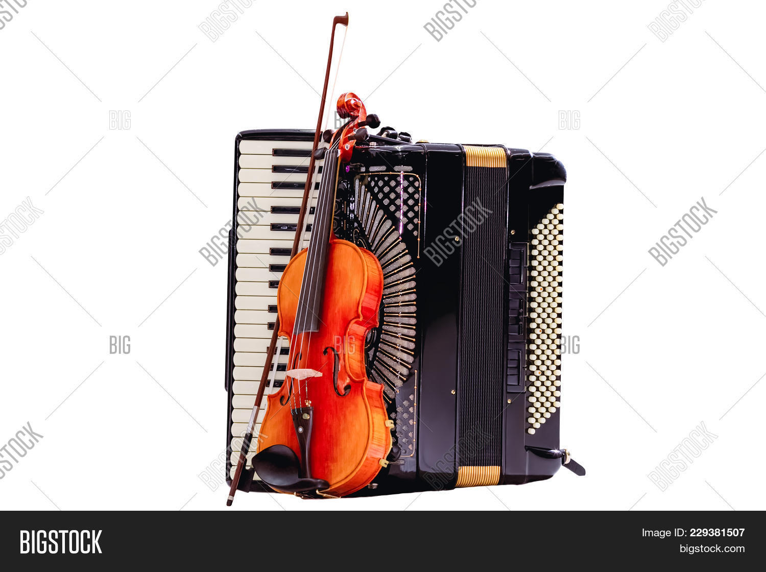 Violin Stuck Accordion Image & Photo (Free Trial) Bigstock