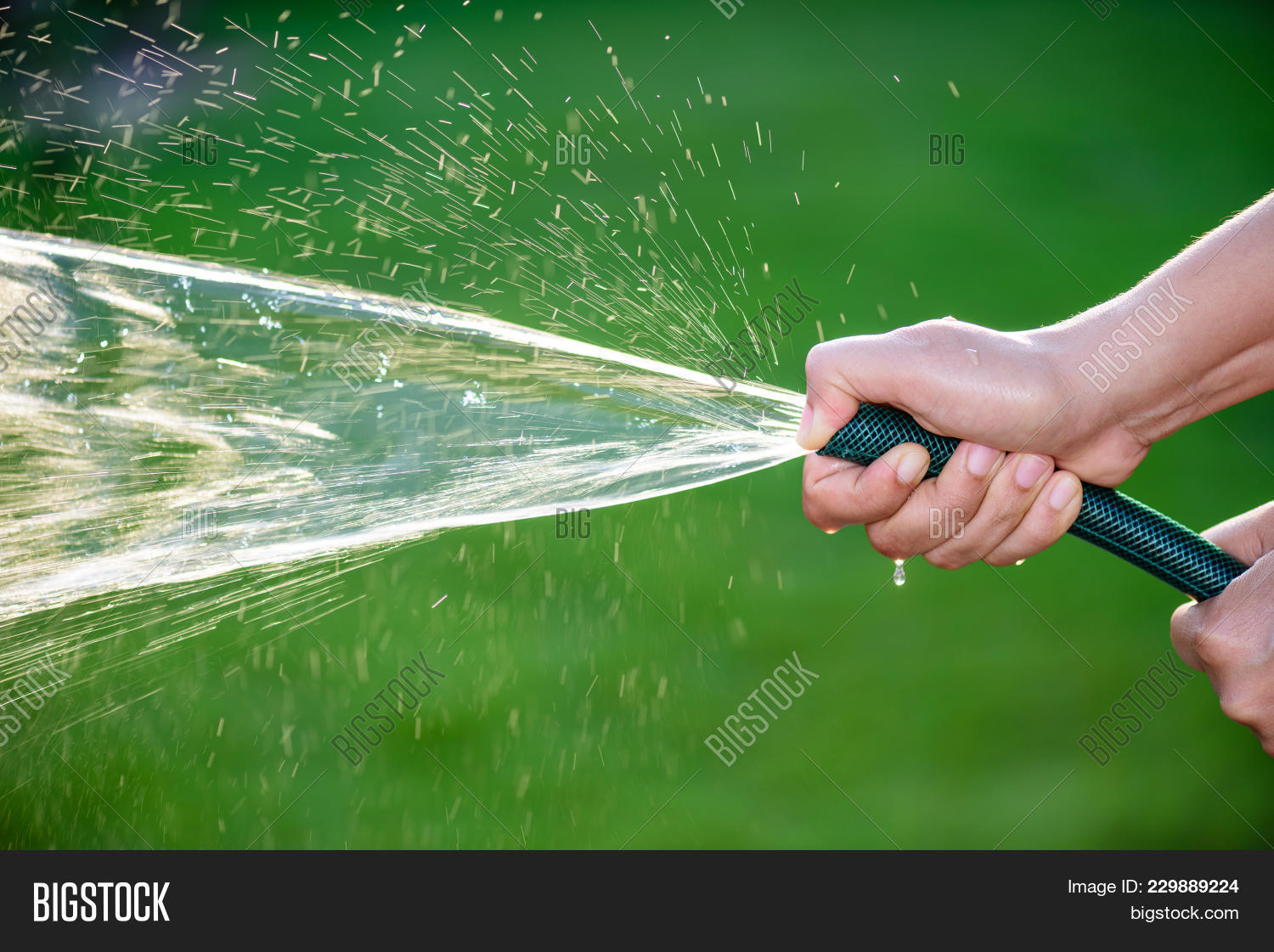 Woman Hand Holding Image & Photo (Free Trial) Bigstock