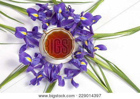 Violet Irises Xiphium -bulbous Iris, Sibirica- With Cup Of Tea On White Background With Space For Te