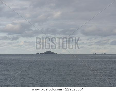 The Ile aux oiseaux is a small island of the Gulf of Morbihan belonging to the state. She is managed