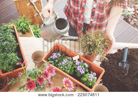 Terrace Table With Soil