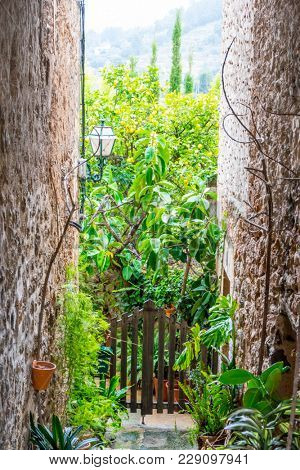 rustic, flowerpots street in the tourist island of Mallorca, Valdemosa city in Spain