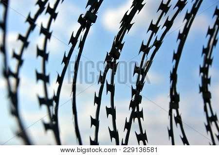 Barbed Wire On Blue Sky