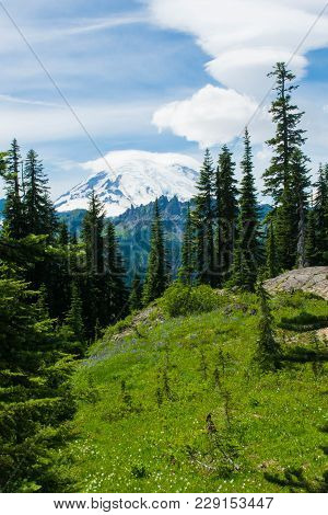 Taken Near Sunrise In Mount Rainier National Park, Washington