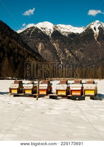 Six Orange And Yellow Beehives In The Middle Of The Snowy Mountains