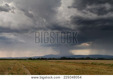Huge Thundercloud Over A Wheat Field Wih The City Of Frankfurt In The Distance, Germany