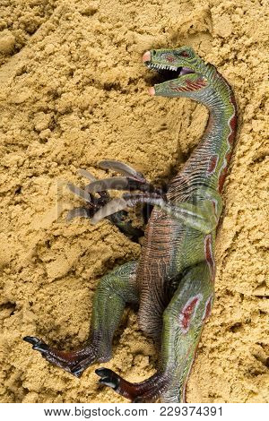 Nothronychus On Sand Concept Of Historical Animal Excavating