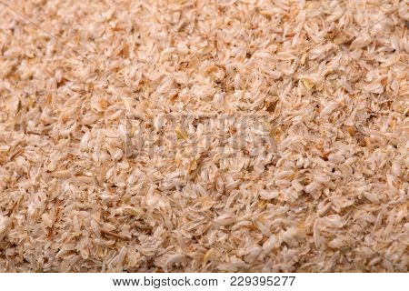 Portion Of Psyllium Seeds