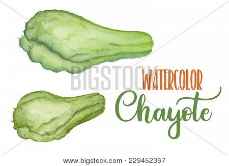 Green Chayote Vegetable On White Background. Exotic Vegetable Isolated. Chayote Watercolor Illustrat