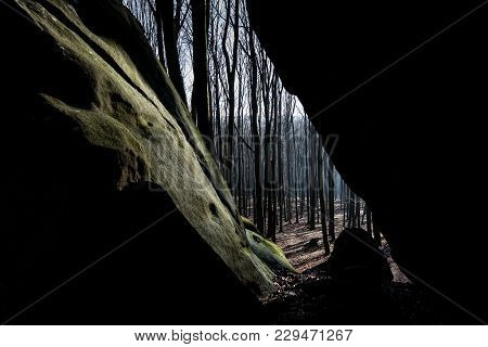 Sandstone Rocks In Forest, Sandstone Rock Formations, Romantic Landscape, Europe, Czech Republic, Mo
