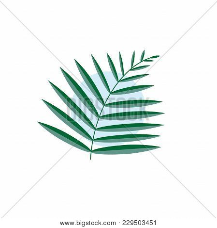 Green Vector Leaf Of A Palm Tree Isolated With A Blue Circle On A White Background