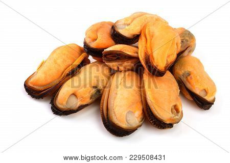 Mussels Without Shell Isolated On White Background.