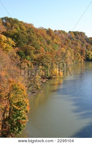 ใบริเวอร์ไซด์