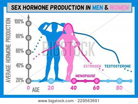 Sex Hormone Production In Men And Women. Average Percentage From The Birth To The Age Of Eighty Year