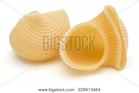 Italian lumaconi isolated on white background. Lumache, snailshell shaped pasta.