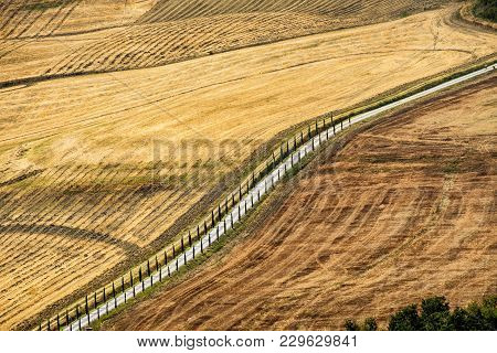 Country Landscape Along The Road From Asciano To Torre A Castello, Siena, Tuscany, Italy, At Summer