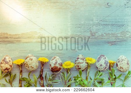 Easter Background With Easter Eggs, Pussy-willow And Spring Flowers Mother And Stepmother. Top View 