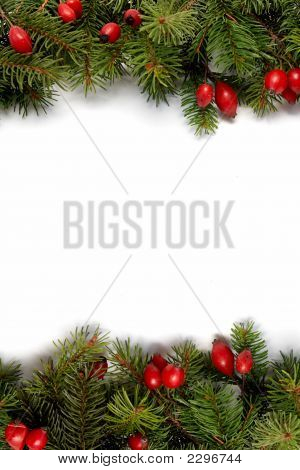 Rot-grüne Weihnachten Arragement