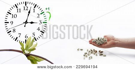 Daylight Saving Time. Dst. Wall Clock Going To Winter Time.