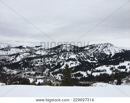 Winter Majestic Views Around Wasatch Front Rocky Mountains, Brighton Ski Resort, Close To Salt Lake 