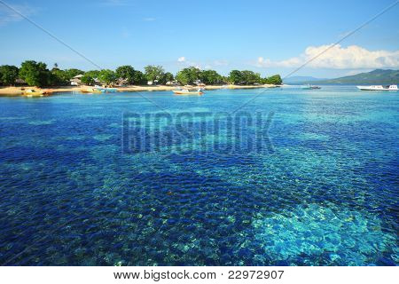 Barriera corallina nel parco marino di Bunaken. Zona vicino al villaggio di Bunaken. Isola di Sulawesi. Indonesia
