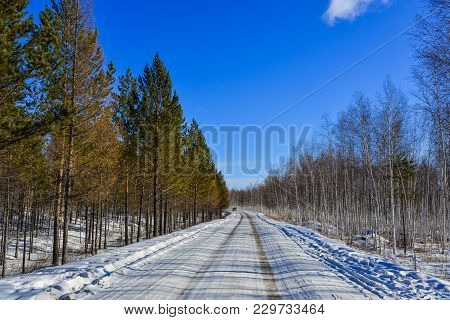Winter Scenery Of Mohe County, China