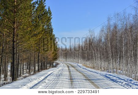Winter Scenery Of Mohe County, China