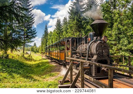 Steam Locomotive In Forest Railways From Village Vychylovka In The Kysuce Region, Slovakia, Europe.