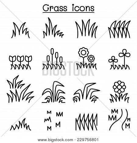 Grass Icon Set In Thin Line Style