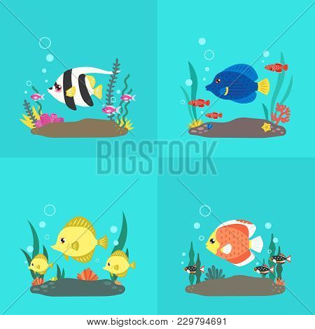 Colorful Fish And Seaweed Flat Style Illustrations Set. Part One.