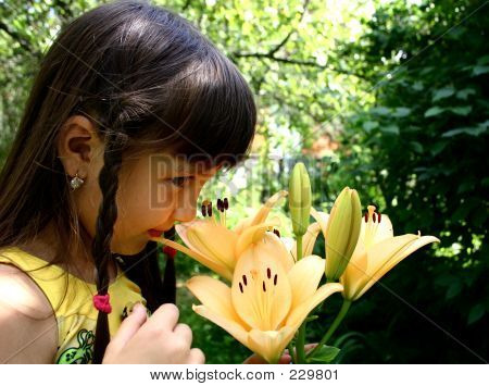 Dívka a Lily