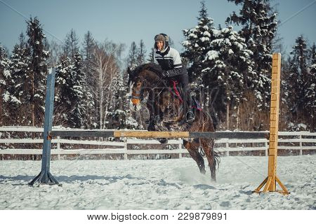Winter Teenage Girl Jump Horse Ride Jumping