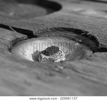 Bolt And Nut Fixing Of Wood In Black And White