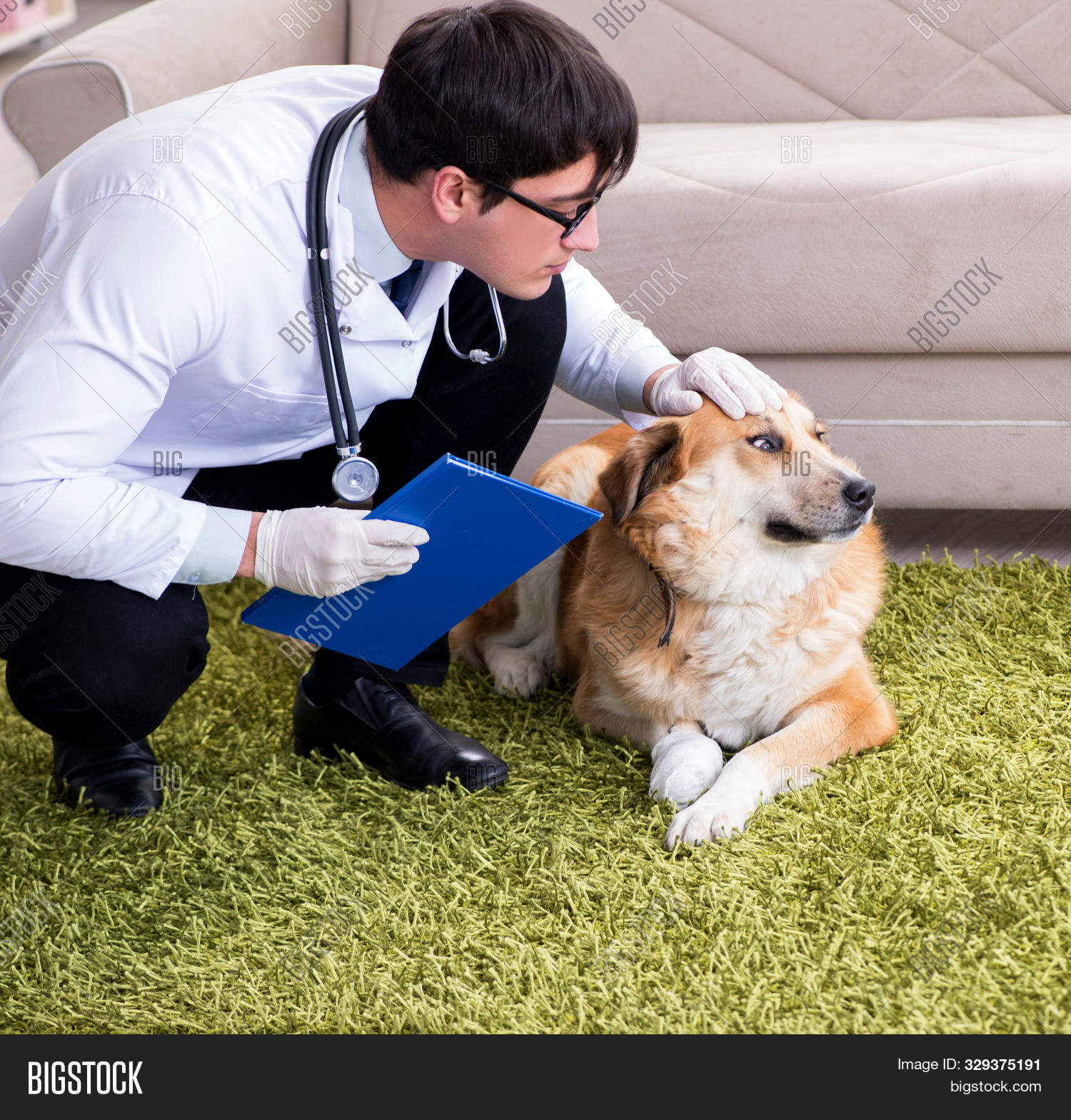 pet doctor home visit