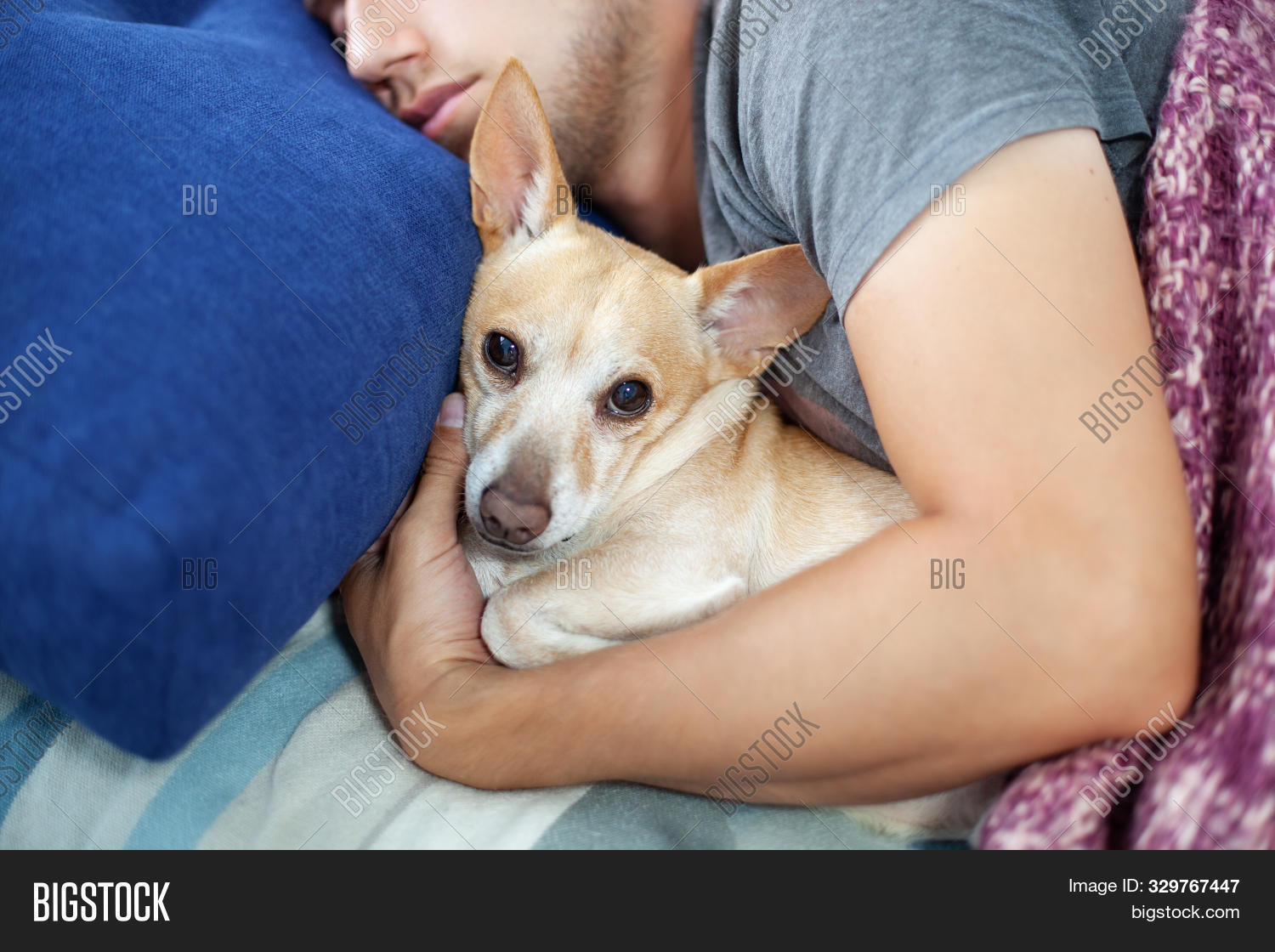 man sleeps with dog